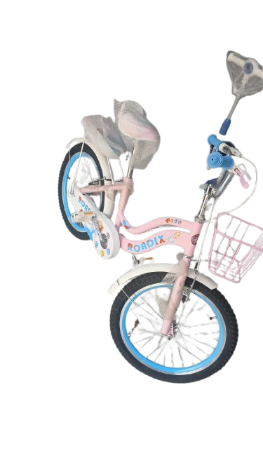 Bike ROADIX size 20 For Girls