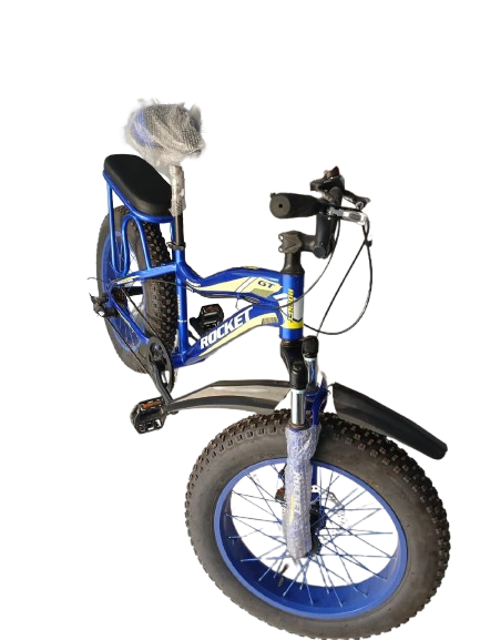Phoenix Niger Bike20/400