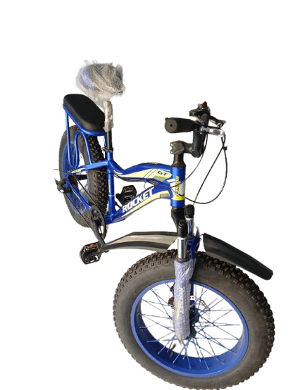 Phoenix Niger Bike20/400