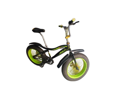Phoenix Niger Bike 20/400