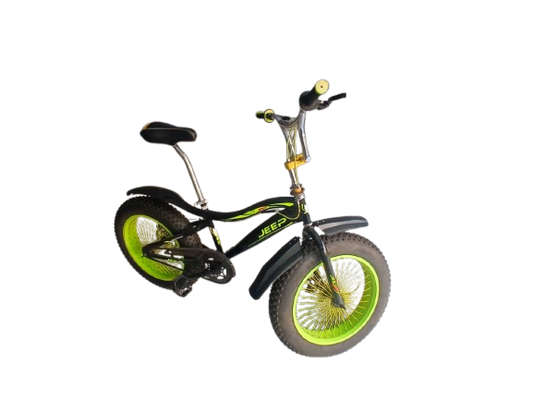 Phoenix Niger Bike 20/400