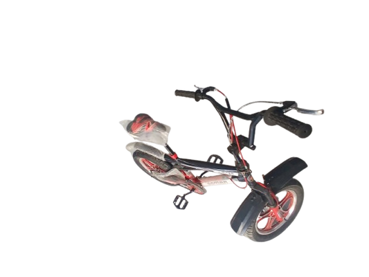 Phoenix Niger Bike 16/300
