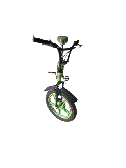 Phoenix Niger Bike 20/300