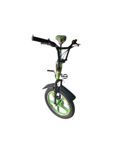 Phoenix Niger Bike 20/300