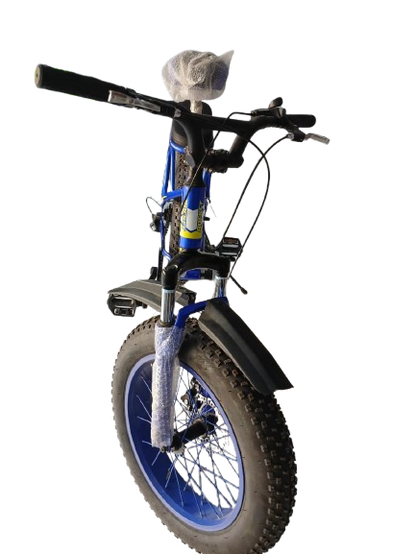 Phoenix Niger Bike20/400
