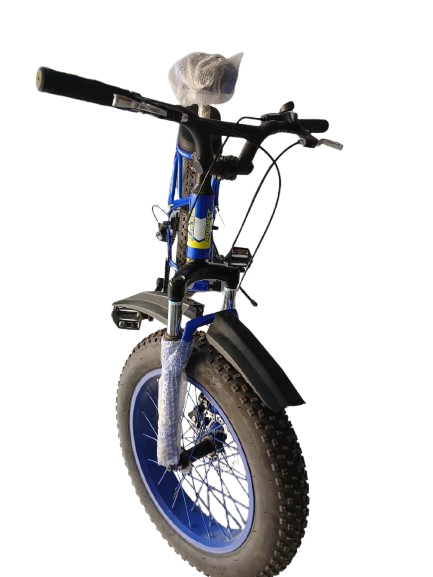 Phoenix Niger Bike20/400