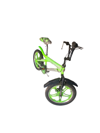 Phoenix Niger Bike 20/300