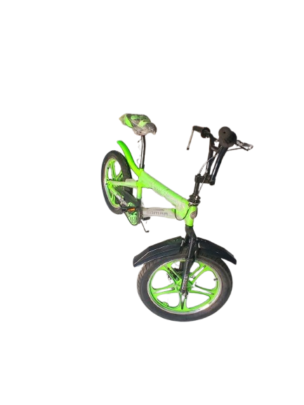 Phoenix Niger Bike 20/300