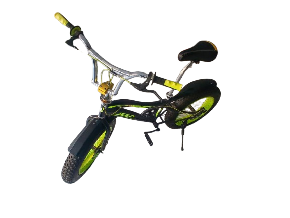 Phoenix Niger Bike 20/400