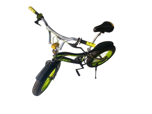 Phoenix Niger Bike 20/400