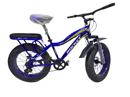 Phoenix Niger Bike20/400