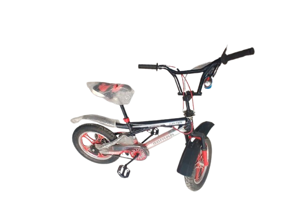 Phoenix Niger Bike 16/300