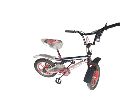 Phoenix Niger Bike 16/300
