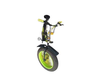 Phoenix Niger Bike 20/400